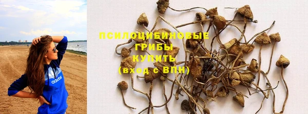 крисы Алзамай