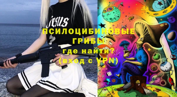 крисы Алзамай